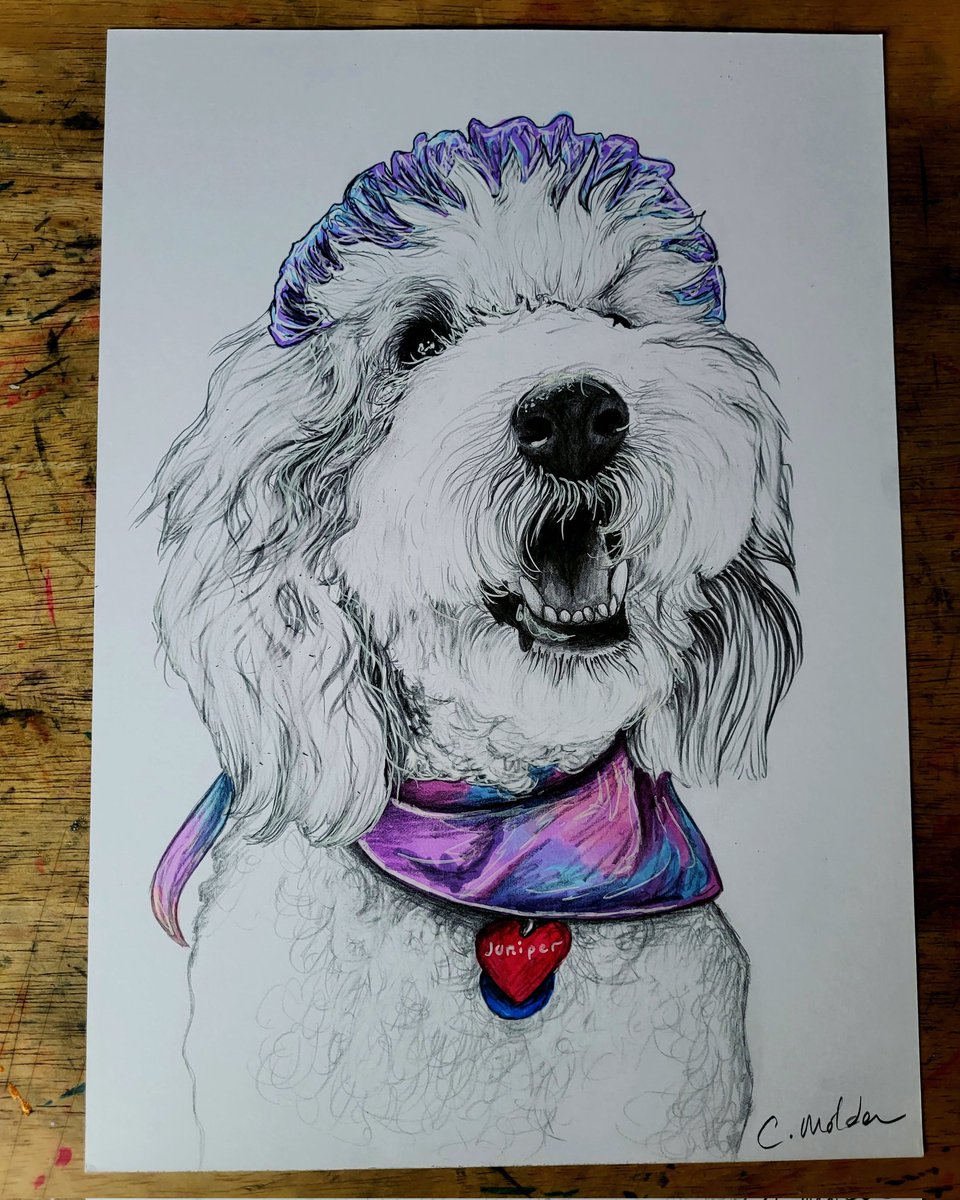 Cealaigh (Commissions Open) tweet media