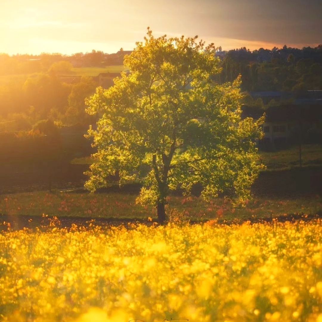 At the end of the trip, the scenery will remain in my heart and I will appreciate it slowly throughout my life.