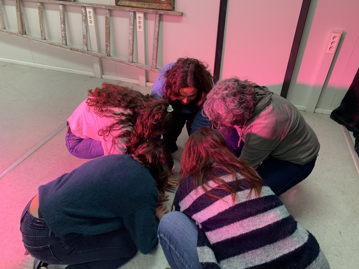 2a Trobada del grup de Secundària en Sistèmica. Avui, hem jugat a través del teatre. Xesca Vela ha guiat la sessió. Esperem que l’art teatral envaeixi els centres educatius. Salut, Teatre i Sistèmica.

TEATRE I EDUCACIÓ: GUIA PRÀCTICA PER A LA DOCÈNCIA AMB JOVES