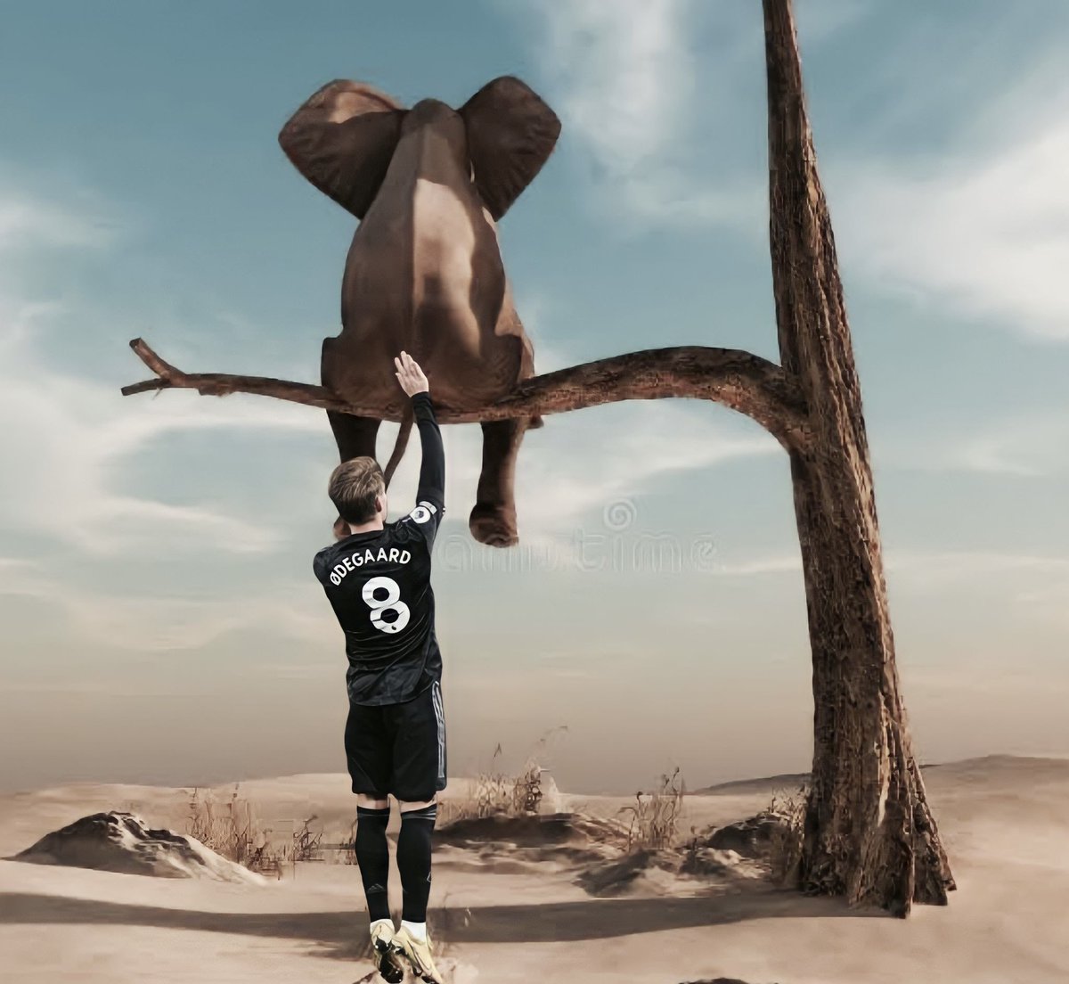 SumanthKrishna's tweet photo. The elephant is back!! Top of the table!! #arsenal https://t.co/NEllUnECgN