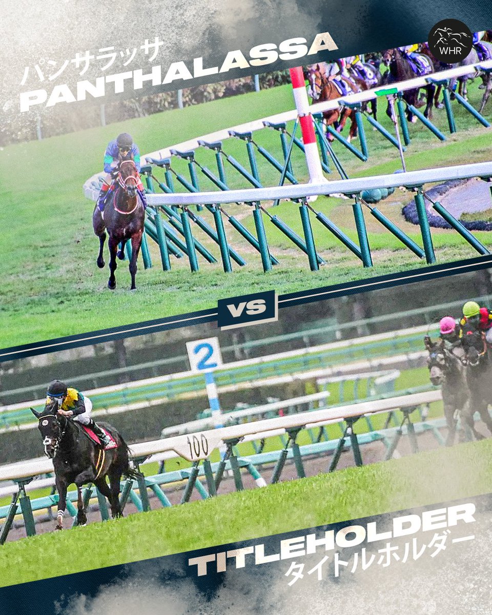 World Horse Racing on X: World Horse Racing on X: