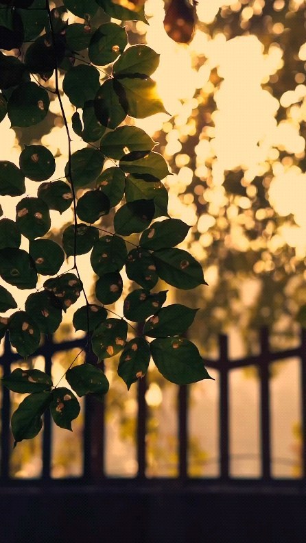 Beautiful things are waiting for you to discover