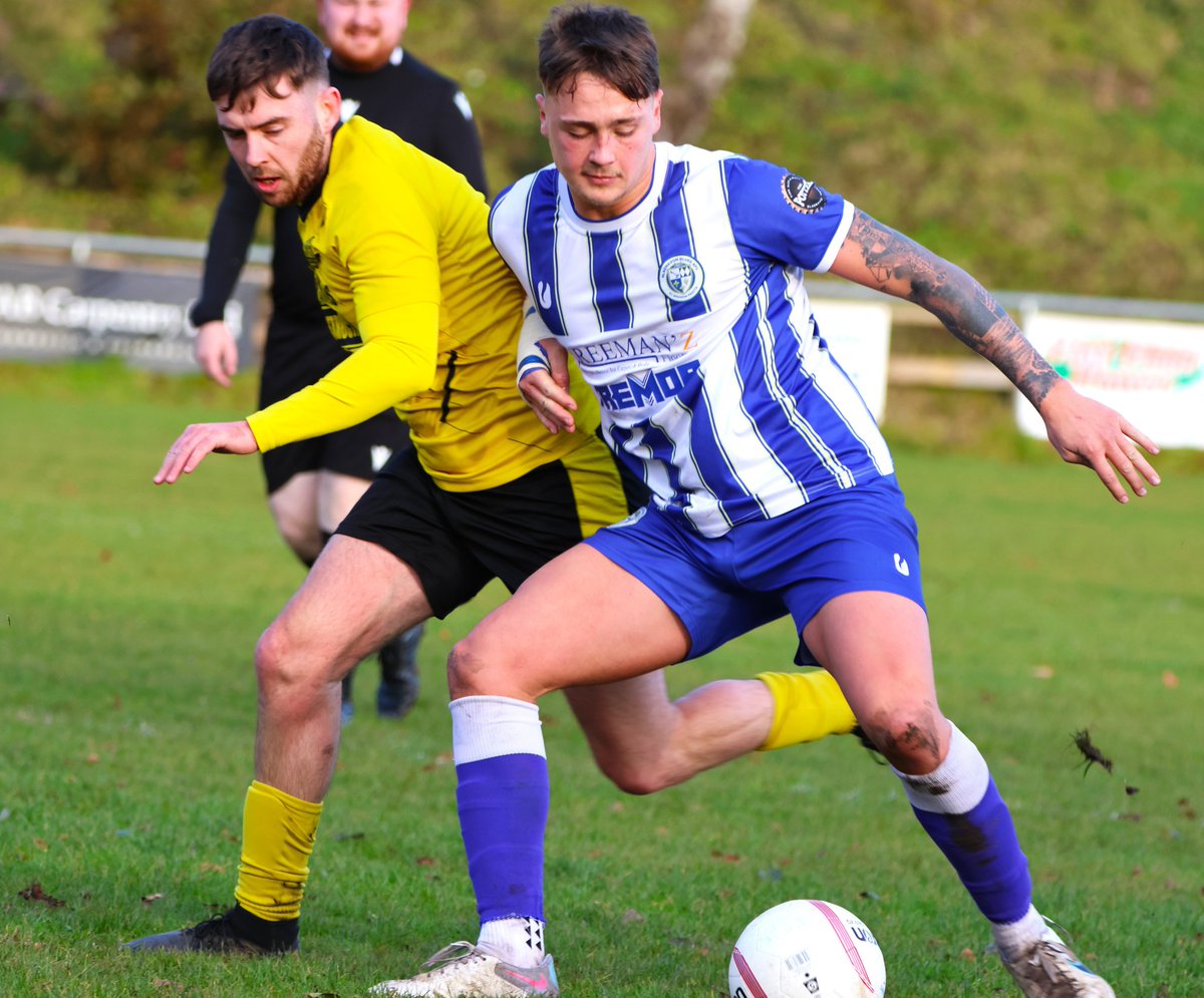 Andrew Rees tweet media