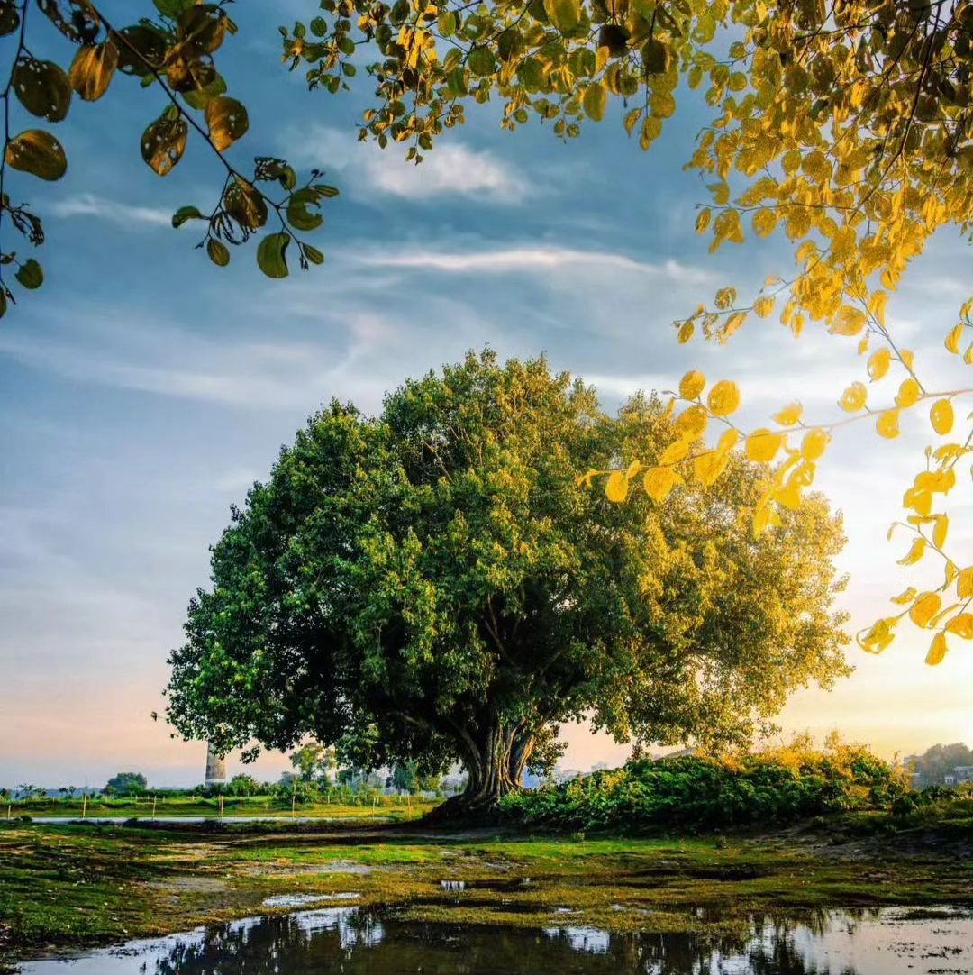 When you come to this world, you must make an effort to see more scenery.