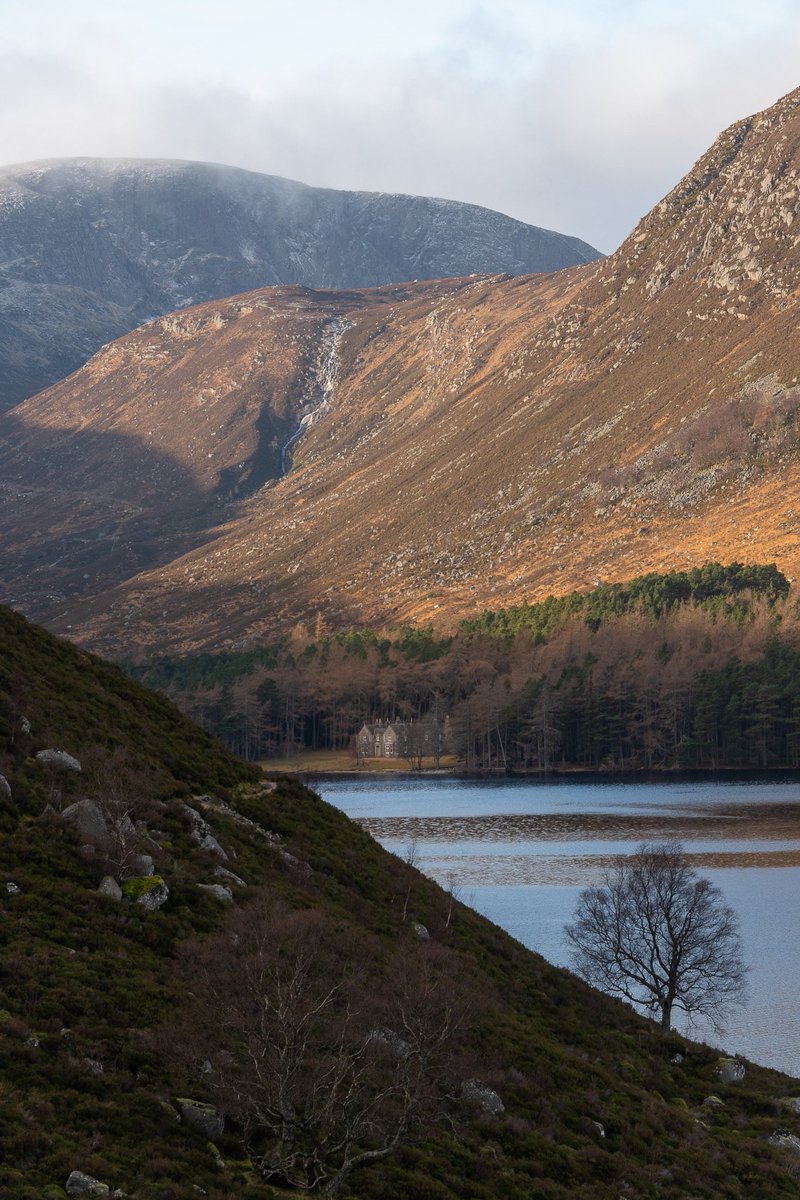 liamyule83's tweet photo. Stunning day up at Loch Muick today. Spoiled with some stags coming down to feed in the Glen in the late afternoon light.
@VanguardPhotoUK
@VanguardNature
@visitabdn
@Aberdeenshire
#photography
#nature
#onemanandhisnikon
#vanguardambassador
#lochmuick
#royaldeeside https://t.co/hx2O89XsxS