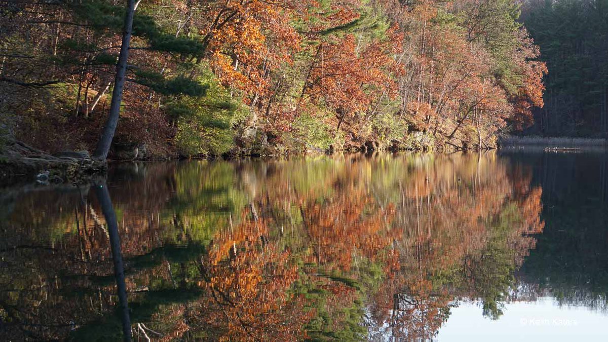 KeithKaters's tweet image. Chasing fall colors to the end — last week, I hiked around Stewart Lake County Park in Dane County, WI near Mount Horeb. Didn’t see any trolls, but maybe they saw me :) @travelwi #travelwi #discoverwi #mounthorebwi #fallcolors #autumn #naturephotography #nature #sonyalpha
