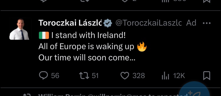 A far-right Hungarian politician is targeting Ireland with a sponsored tweet, following the rioting in Dublin earlier this week. Cross-border political advertising is often extremely problematic, as there's little chance of holding them to account. Is this ok @Safety?