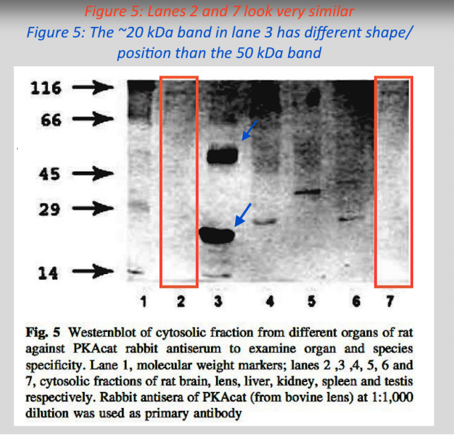 MicrobiomDigest tweet picture