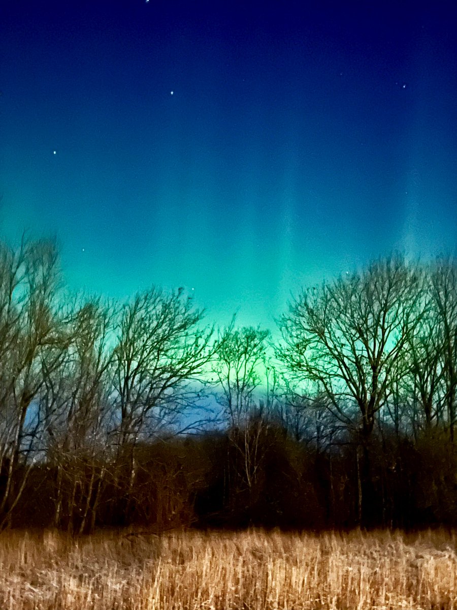 Oh, hello Aurora!