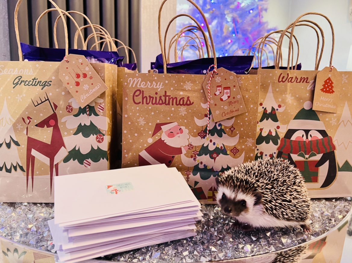 kindnesscardsp's tweet photo. Some more info: 

These are pictures of the christmas kindness packages from LAST YEAR however they will be very similar this year too. 

I am currently still collecting items &amp; fundraising for the 2023 christmas packages, I am hoping to have them completed mid december ❤️🎅🏼🎁 https://t.co/tyUbCPSw1a