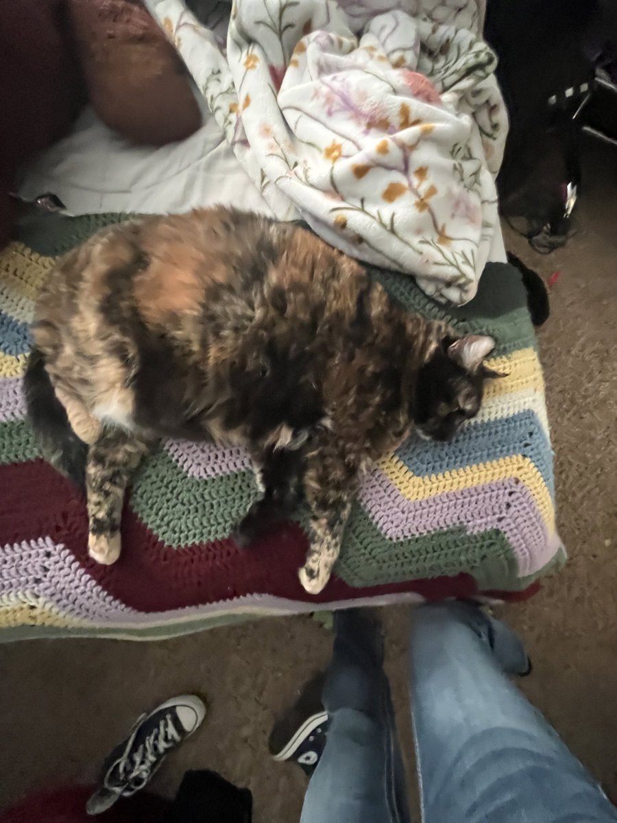 stoaders's tweet image. hey guysss