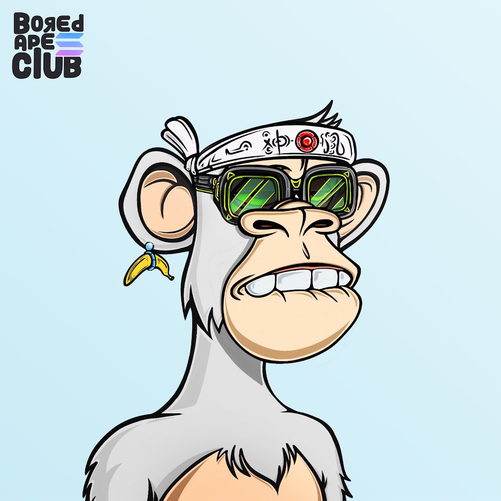 #BASC Follow #BASC?! 
<a href="/BoredApeSolClub/">Bored Ape Solana Club</a> 💎🍌