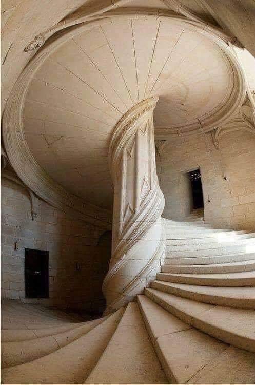 Friscokid49's tweet photo. In 1516, Leonardo Da Vinci created a spiral staircase found in Chambord Castle, located in the Loire Valley, France.

We were there in 2008, simply mind blowing. https://t.co/l9bdxJrPet