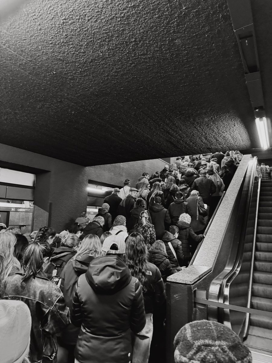 Veronica Ferraro tweet media