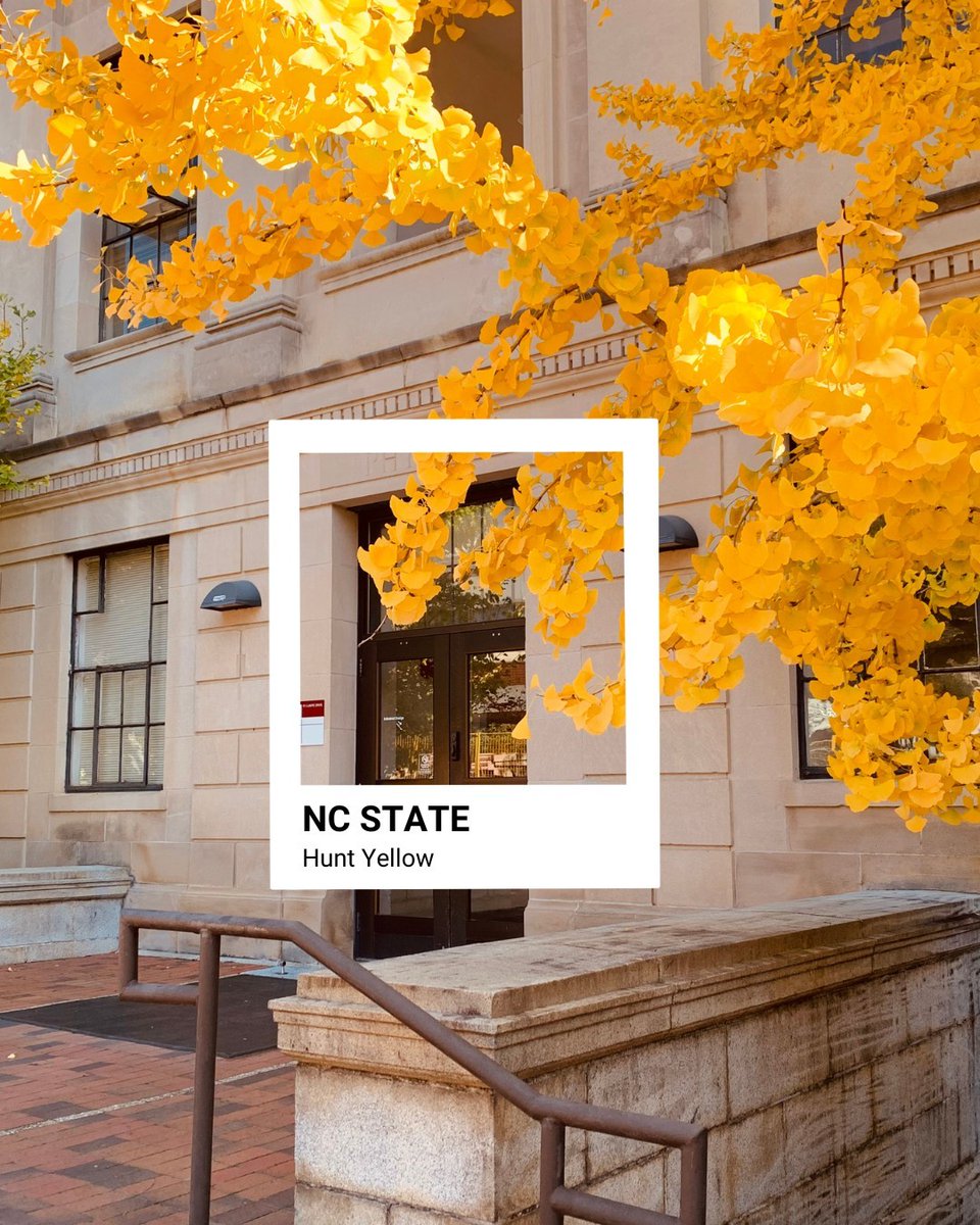 NC State Admissions tweet media