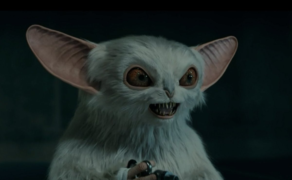 beep the meep was genuinely just showing what it’s like living with a cat