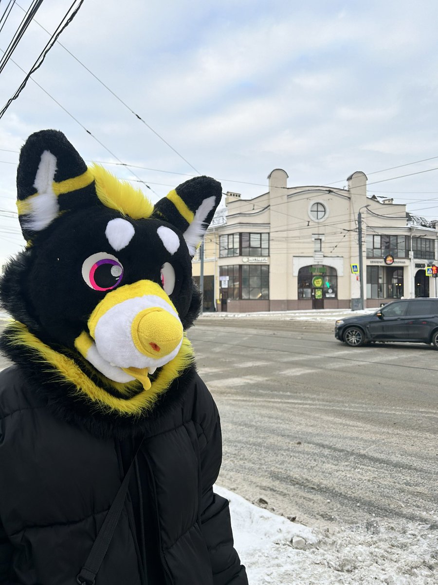 PAWNBARK's tweet photo. Done fursuit premade!
Already found a home!
Went out to make some lovely pics on a snowy day! :03
#furry #fursuit https://t.co/tcG17TzjLO
