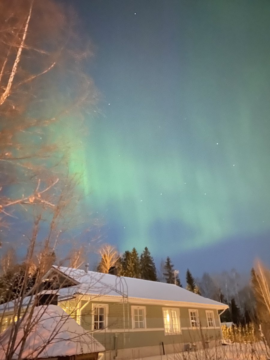 Magnificent show. Above my house right now 🖤 #aurora #auroraborealis #northernlights #revontulet #finland