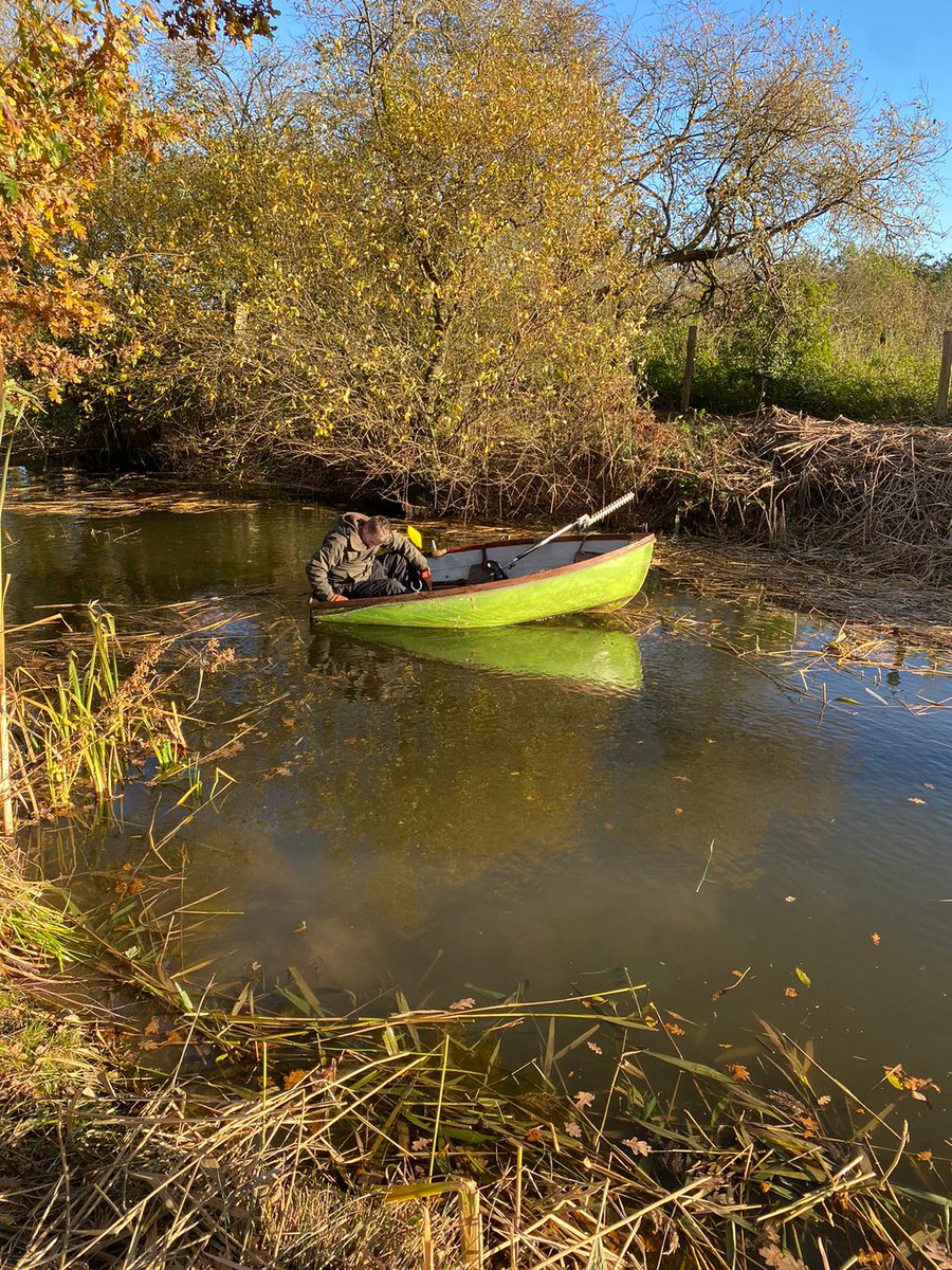 Now some are saying certain team members need to lose weight. The team member in question says that the back of the boat is just leaking and taking on water. At least the reeds are now tidy in the moat.