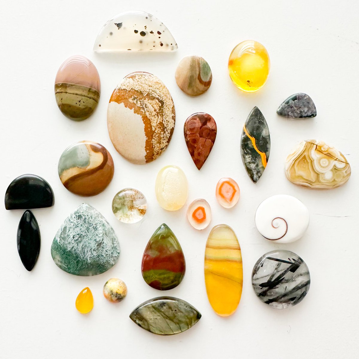 mildhippie's tweet photo. next collection coming Dec. 1st 8pm est

theme is…DESERT OASIS 🏜️🐪🌵 https://t.co/VRpEny6pw3