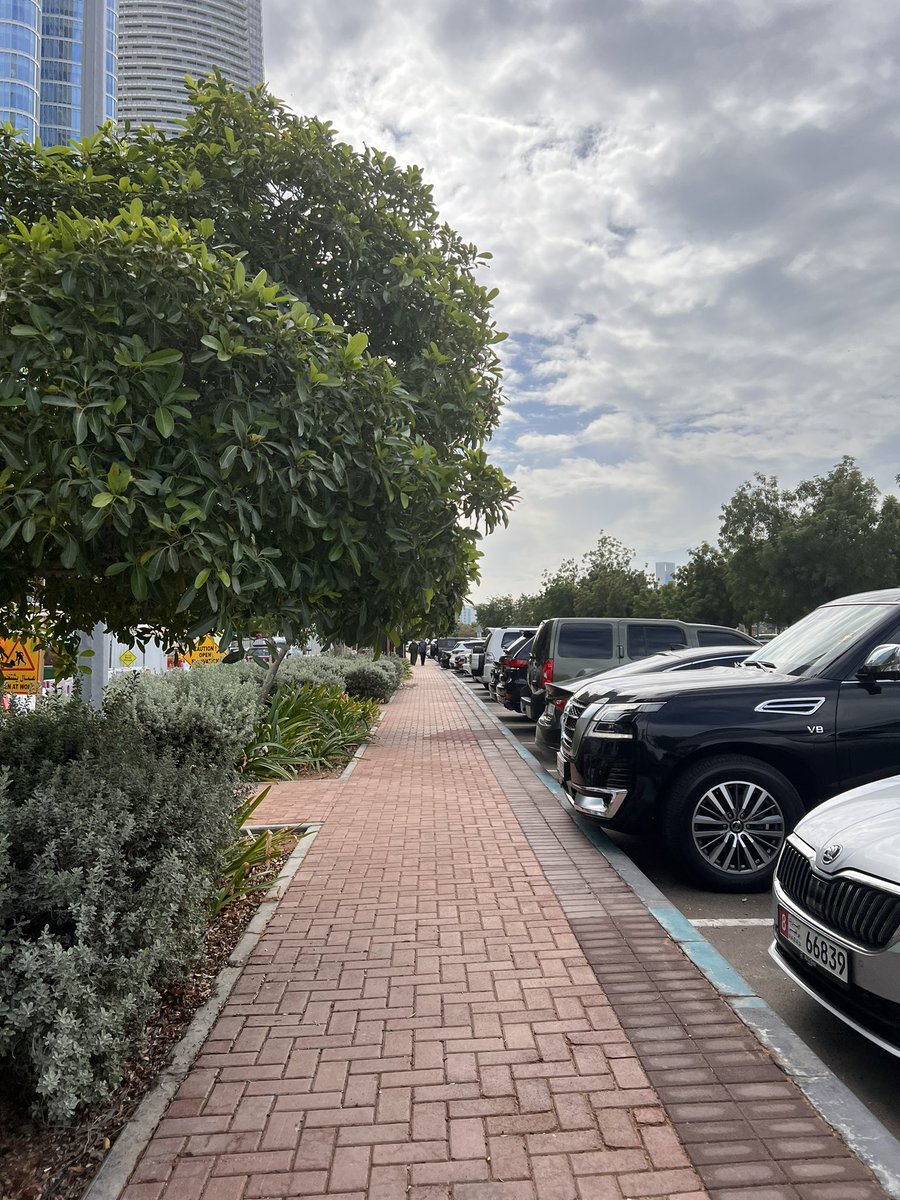 Ayisha Abdul Basith tweet media