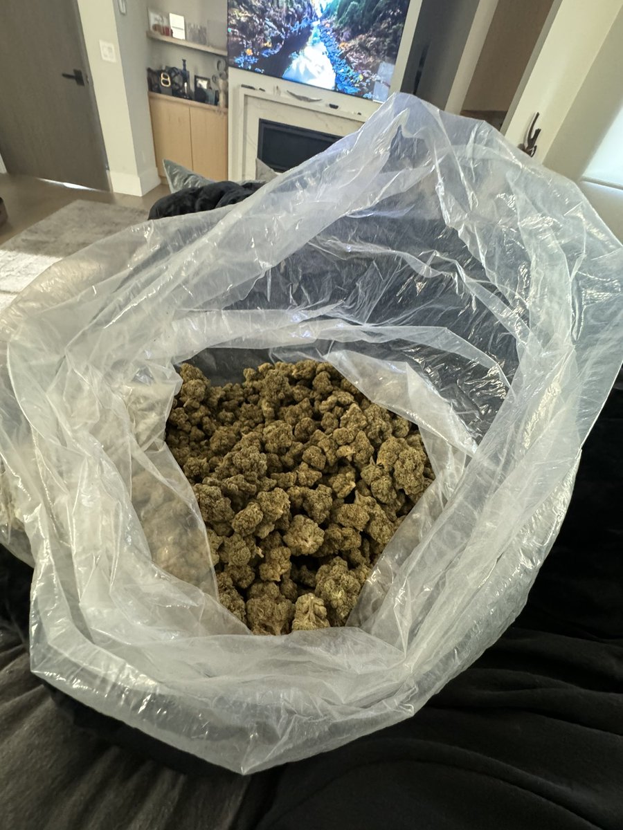 wizkhalifa's tweet photo. Todays mission. https://t.co/hubTgAyIUo
