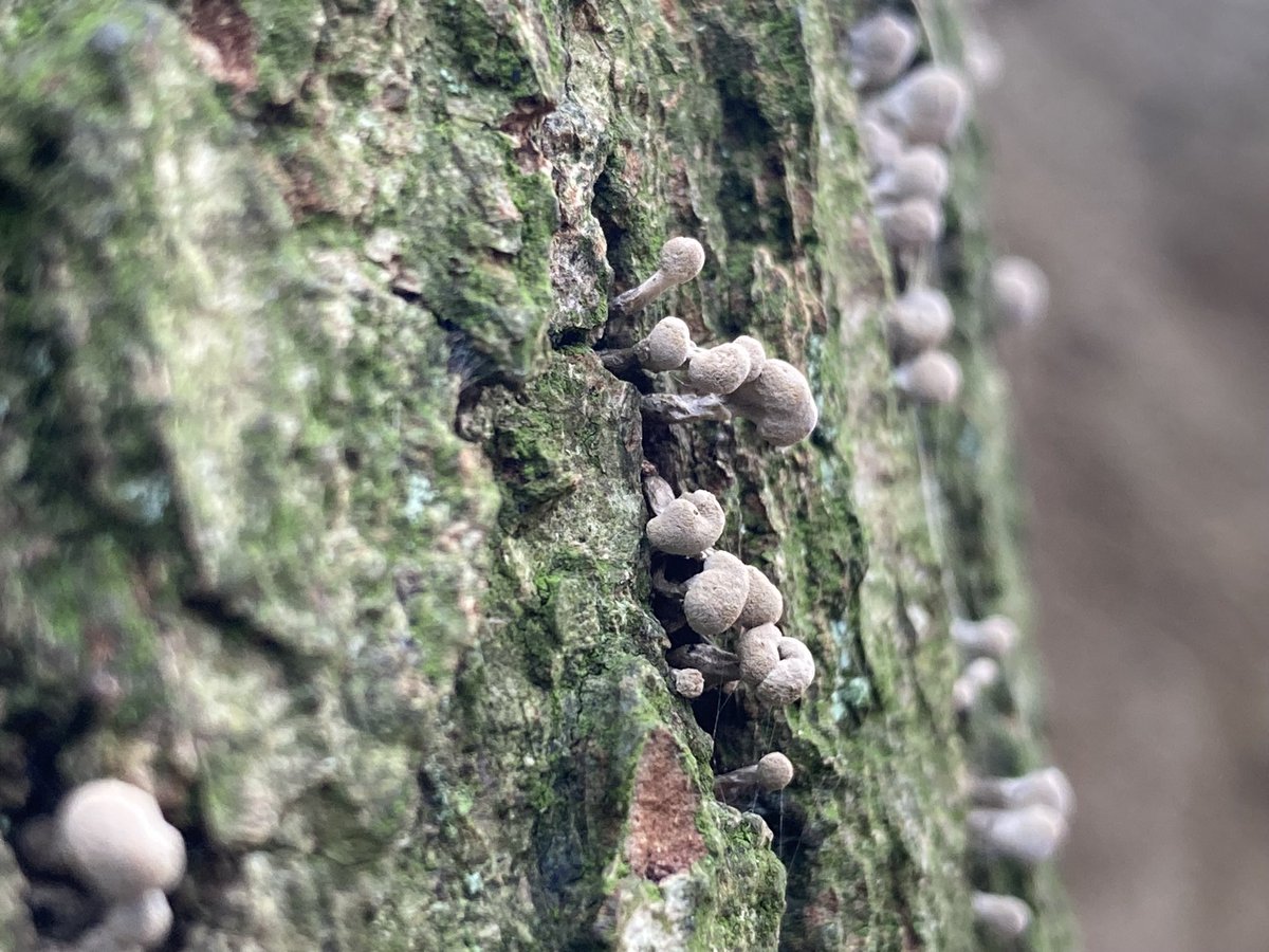 Alex Lowe tweet media