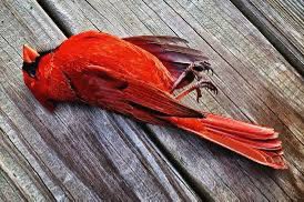 MattAPayne_'s tweet photo. FUCK YOUR DREAM SEASON https://t.co/ndLBN1k5jv