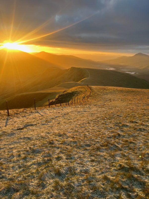 Chris Subbe tweet media