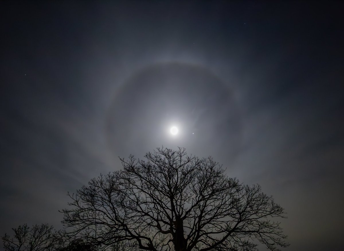 John Threlfall tweet media