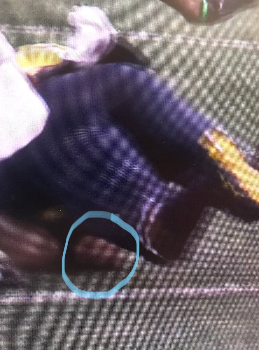 This ball ABSOLUTELY hit the ground without him maintaining control. I cannot believe they missed this call to end this game. Cannot believe it. Ohio State got absolutely screwed vs. Michigan on the biggest play of the year.