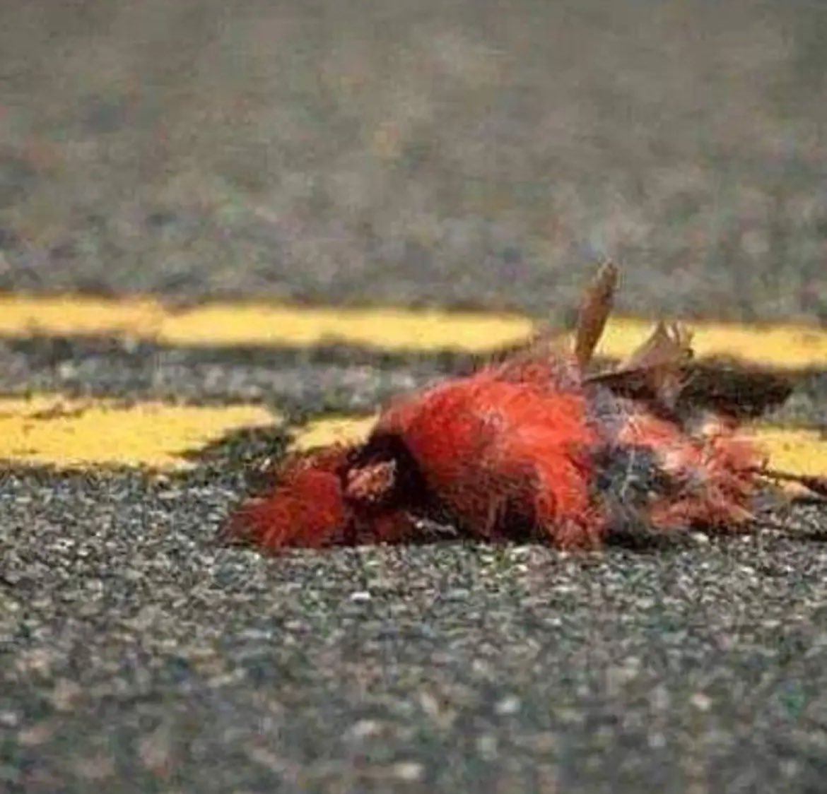 Tom Stephens tweet media