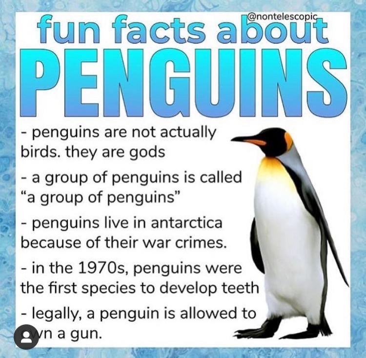 badibulgator's tweet photo. @laughchem @Freak0nIine @Doj_e1 @JMichaelsonUT @surfpurzel @sly_sparkane @jameswzegan85 @BuzzedEdwin @DreadPirateDavy @Lokyagain @umfpt @ThatGuyM88 @FooleryT @ezleija @wiguy45 @forthemasses @Mctoon27 @akrey @Albert_Paradine @LogicalReterg @Grizzified2 @EwonSprokler @ken_caudle @tactical2cat @BannedNotice @RealAceFox1 @RedsRhetoric @TBRagsdale1 @movethozstix @ReillyOToole1 @geeky_sneaky @Loboloc19529892 @lakeerieastro @theGuffa @SolarElectrics @Zetetic_News @FlatMack @hombreingles @doctorbuttons @gatheredwaters @JohnHopkins_ @thefebuster @manteo44 @thesejustwords @philwetherick @Fragaphobia_ @CugaltheClever They really should actually do their research. Sigh. Ok, here are some incontrovertible facts about penguins. #GetFact https://t.co/tStTgSmqU0