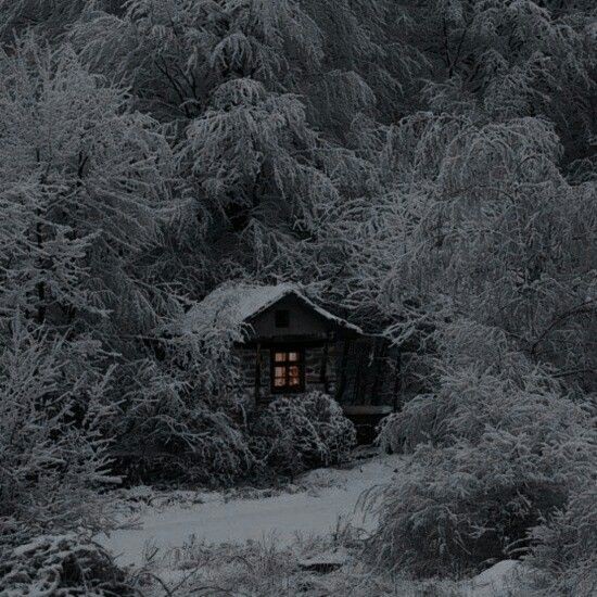 — Холодного вечера, дамы и господа. Настало то время, когда пора утеплять ваши квартиры, надевать много одежды и тратить деньги на подготовку к праздникам.
Я знаю что многие из вас ждали моего появления, именно поэтому я здесь, ваша любимая и неповторимая Зима. Будем знакомы.