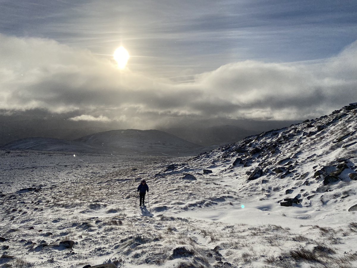 AlanLaw_'s tweet image. Stunning day on Derry Cairngorm. #Scotwinter #thinkwinter