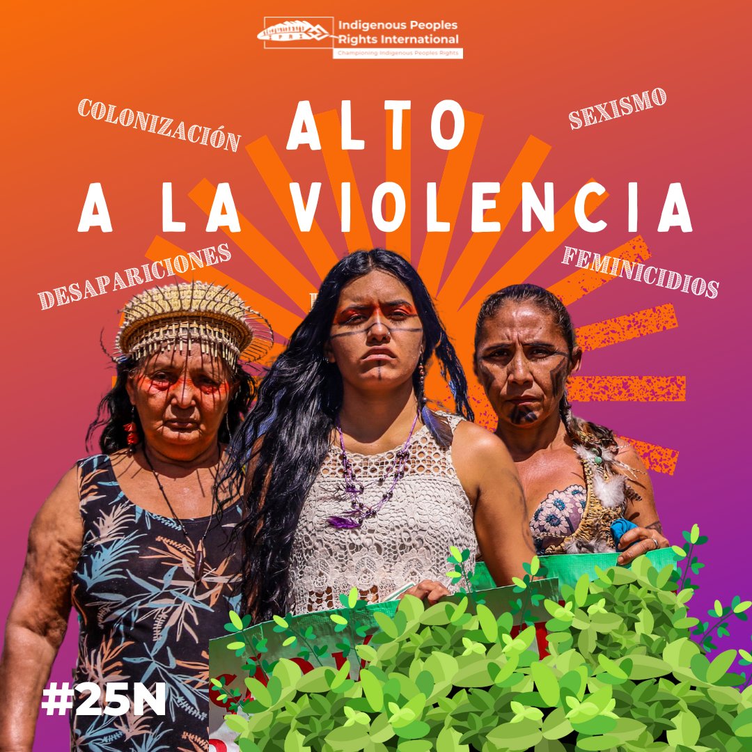 ♀️Las violencias son múltiples contra las #MujeresIndígenas, pero nuestra sabiduría, la protección colectiva y la solidaridad serán nuestro escudo

✊🏾✊🏾Este #25N2023, ¡alza la voz! 

🛑¡Alto a la violencia contra nuestros cuerpos y nuestros territorios!