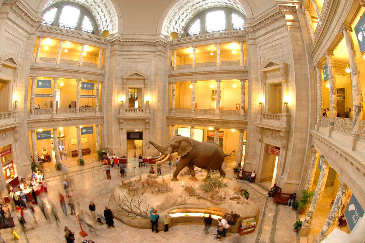 topherwhite's tweet photo. The @Smithsonian Museum is free to all, so to see the Guardian, just follow signs on the 2nd floor to "Objects of Wonder"
Exhibit: "Cellphone: Unseen Connections"
@RainforestCx #Rainforest #Nature #Smartphone #UsingTechToProtect https://t.co/DcDXKTsx8O