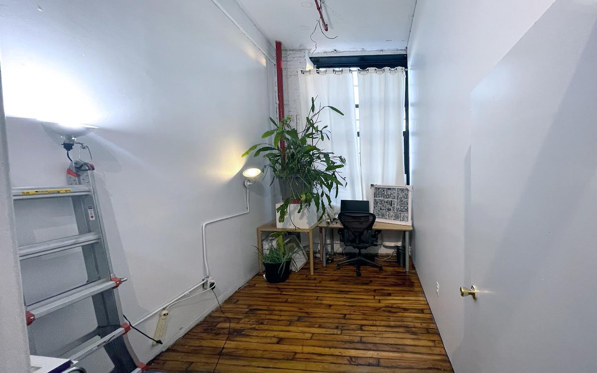 Carla Gannis tweet media