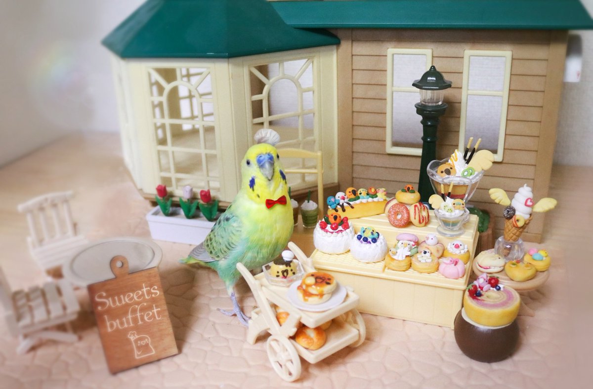 あやなぎ🕊️ tweet media