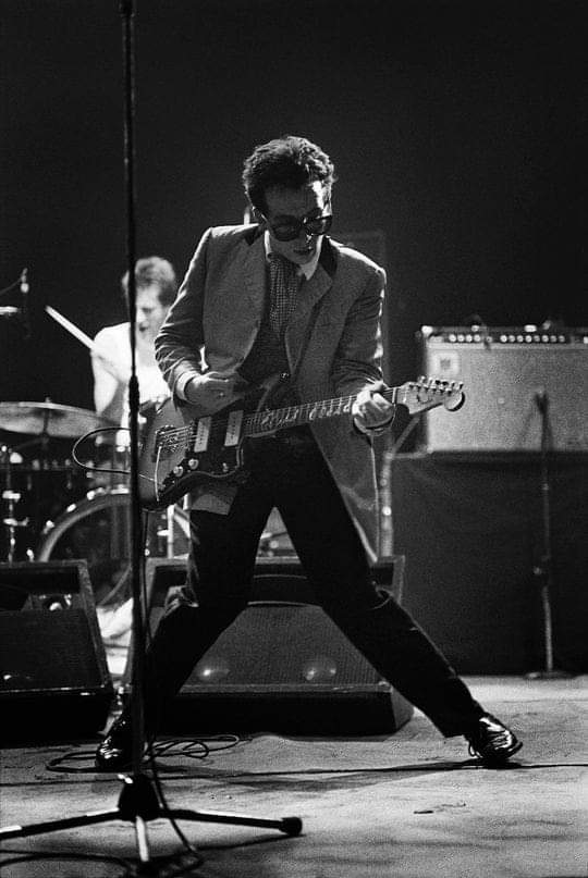 Happy Birthday Elvis Costello Michael Grecco 