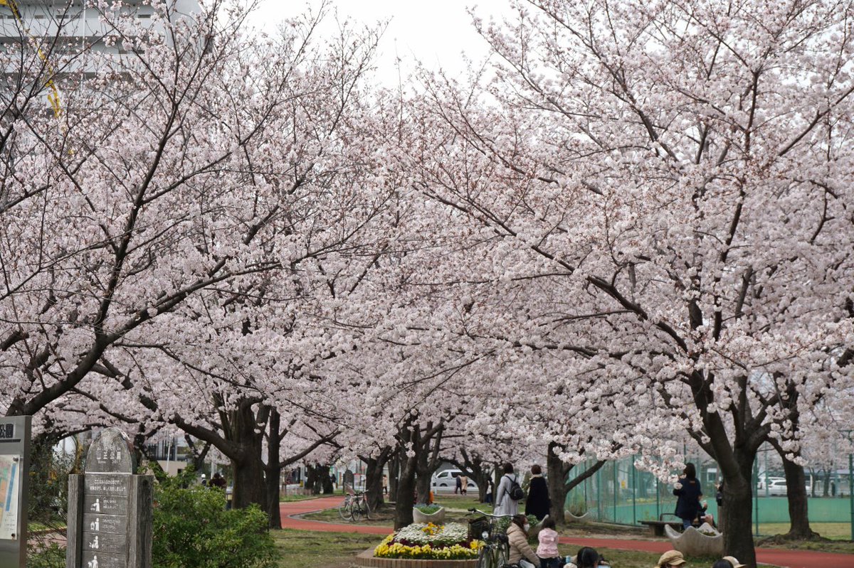 山王公園 Trsene V Twitter Twitter