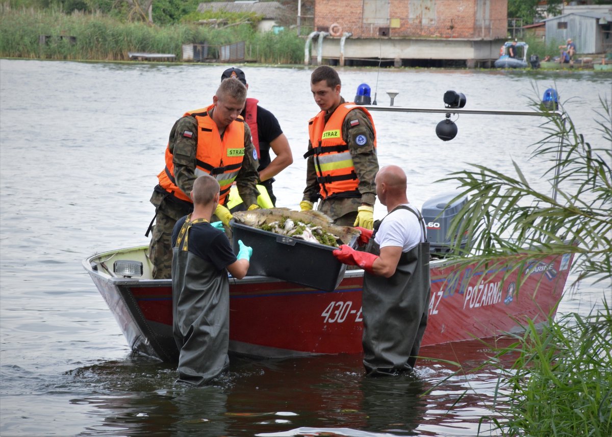 12Dywizja's tweet image. 1️⃣2️⃣DYWIZJA DZIAŁA NA ODRZE 
Sytuacja na Odrze nadal jest nadzwyczajna, dlatego do działania wkroczyła również 12 Dywizja, aby wspierać pozostałe służby. 
#Dwunastka #12SDZ #7BOW #12BZ #8brem #12bdow 

@DGeneralneRSZ @SztabGenWP  @MON_GOV_PL @Polska_Zbrojna