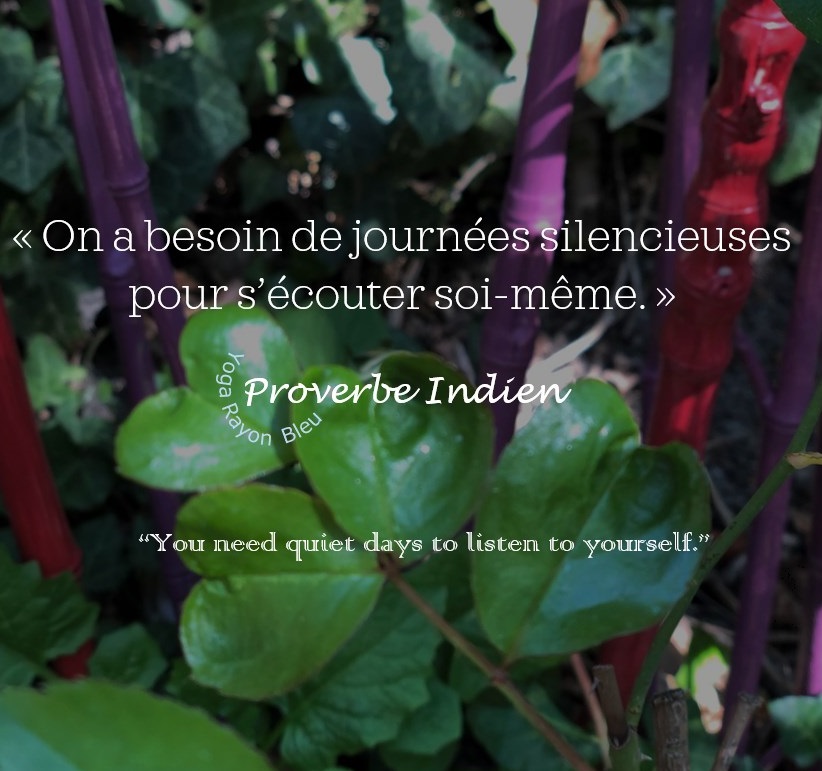 ambre_helene's tweet photo. « On a besoin de journées silencieuses pour s’écouter soi-même. »
Proverbe Indien
“You need quiet days to listen to yourself. "
Photo #YogaRayonBleu 2020 Bougival
#yoga #citation #ProverbeIndien #relaxation #yogabougival #yogavesinet #yogalepecq #bougival #vesinet #lepecq https://t.co/m6v4hU19vZ