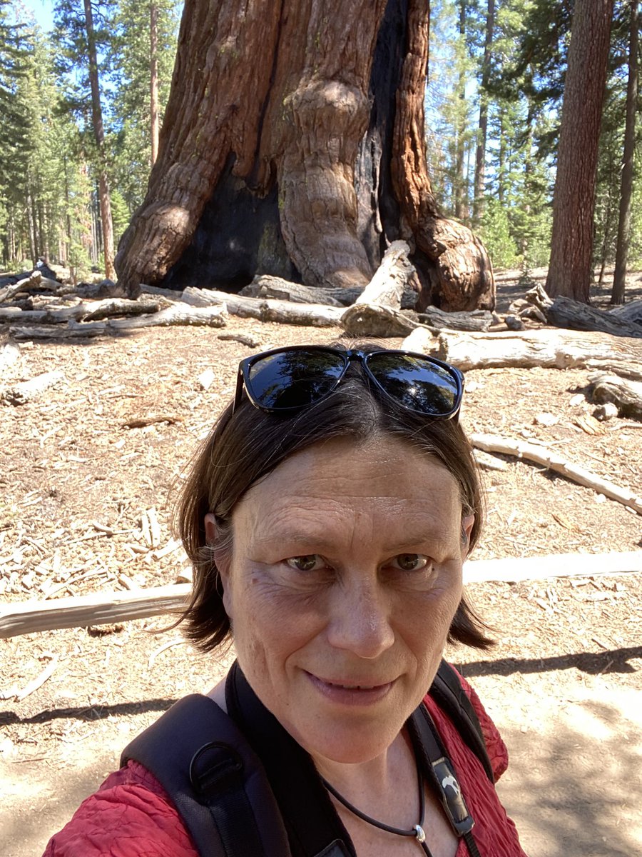 So honoured to meet #GrizzlyGiant today 💚 . Too large to fit within a single photo frame.  A specimen of Sequoiadendron giganteum, supposedly up to 2,800 years old #StarStruck #SequoiaSelfie #yosemite