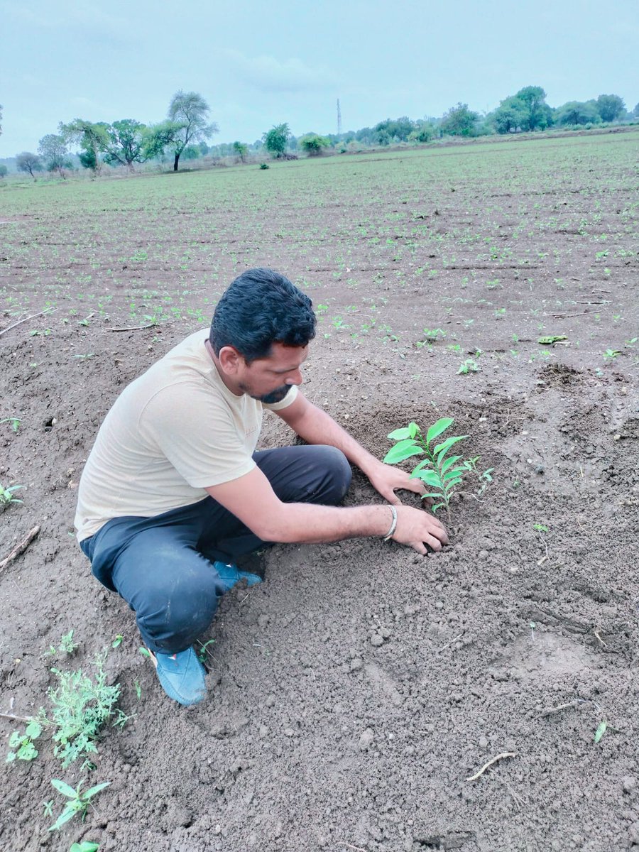 AOLProjectsMAH's tweet photo. 1,15,000+ saplings of Palash, Sitafal, Amla etc. were planted across 40 acres in Nagpur Dist. MH.  Over 1300+ people came together including The Art of Living Volunteers, Govt. Dignitaries, Forest Department Staff,  &amp; Students/Staff from various Schools &amp; Collages. https://t.co/3U5eSMPmI9