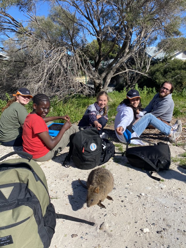 AislingPForbes's tweet photo. Curious Quokkas. Year 6 are enjoying learning more about the quokkas of Rottnest Island #HCCEllenbrook https://t.co/DdIjLhlTYe