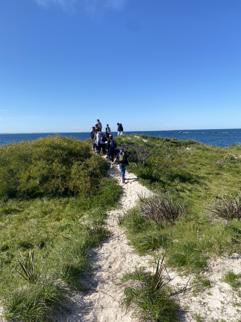 AislingPForbes's tweet photo. Curious Quokkas. Year 6 are enjoying learning more about the quokkas of Rottnest Island #HCCEllenbrook https://t.co/DdIjLhlTYe