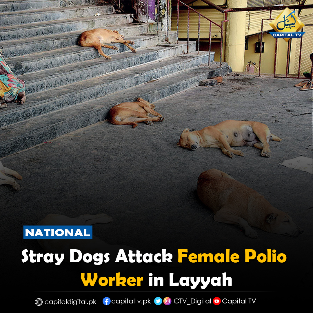 CapitalTVLive's tweet photo. Female polio health worker was mauled and injured by street dogs in Layyah near Chowk Azam, during an ongoing anti-polio virus campaign
#CapitalTV #Polio #Mauled #Injured #Femaleworker https://t.co/xzeGR8cKba