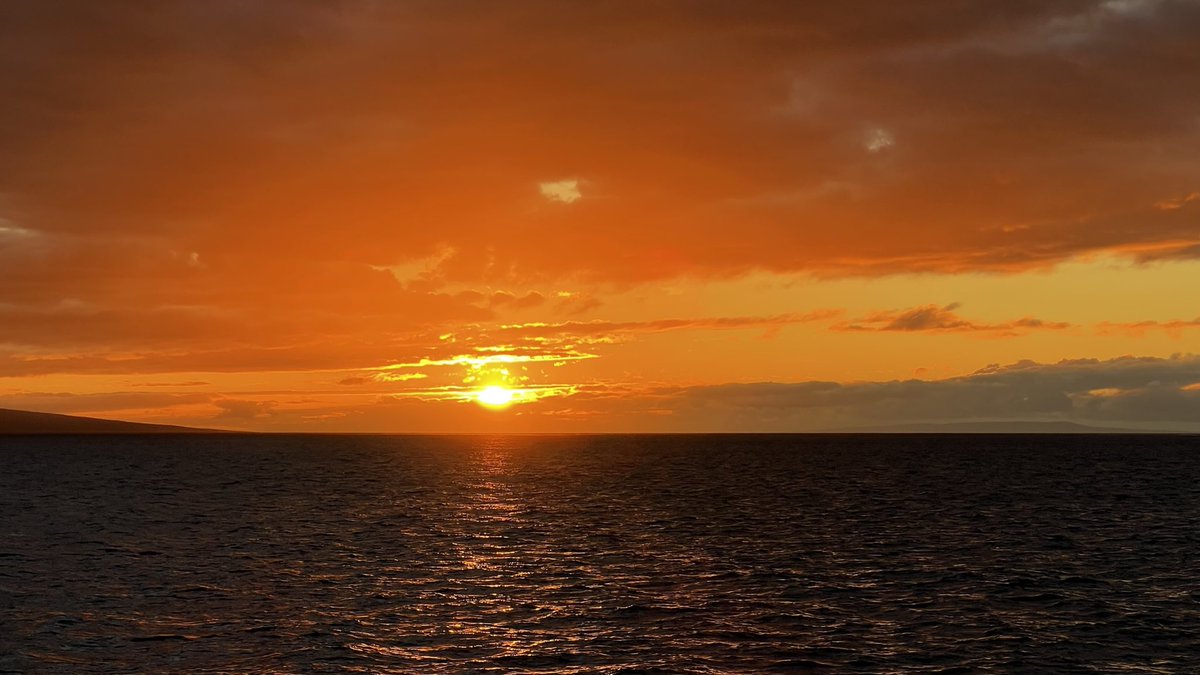 Grant Naylor tweet media