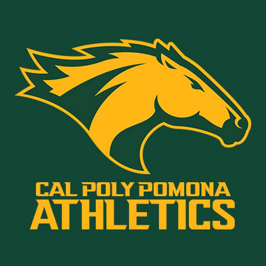 CoachCsanders7's tweet photo. After 6 awesome years, this is my last official week as the Head Strength and Conditioning Coach for Cal Poly Pomona. Thank you so much to everyone for some of the best times in my life. From the administration, to the athletes, parents, etc.

Forever a Bronco. 💚🐎 https://t.co/jcZo0UJv2R